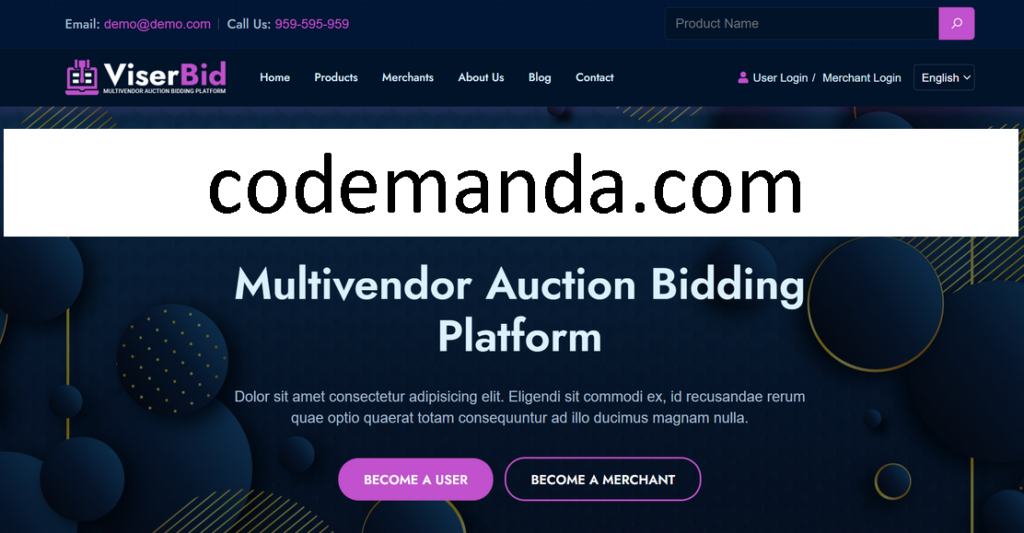 ViserBid Auction Bidding Platform