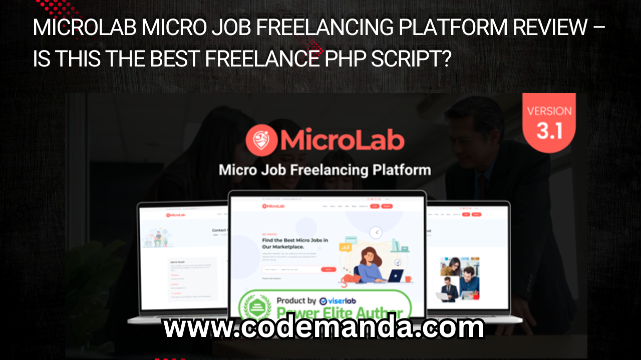 MicroLab Micro Job Freelancing Platform Review