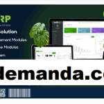 ERP Business ERP Solution